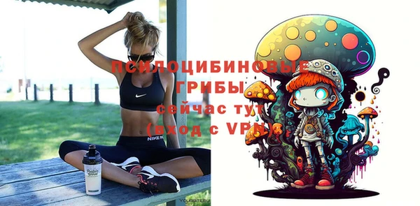 гидропоника Абаза