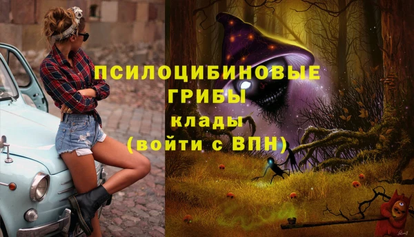 гидропоника Абаза