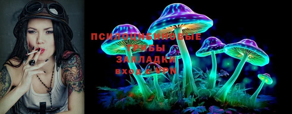 гидропоника Абаза