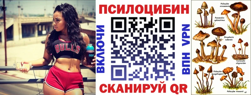 Галлюциногенные грибы Psilocybe  Новочеркасск 