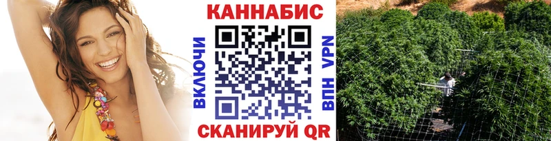 ссылка на мегу маркетплейс  Новочеркасск  Марихуана планчик  сколько стоит 